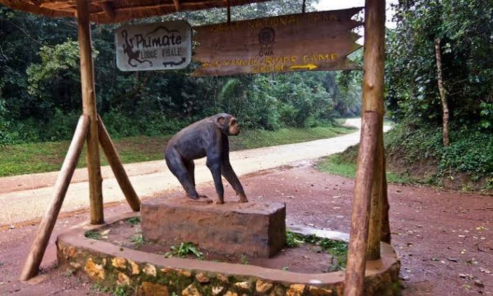Kibale National Park, Uganda